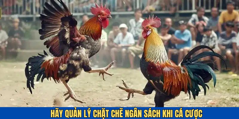 Hãy kiểm soát ngân sách khi cá cược