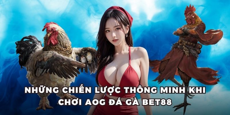 Những chiến lược thông minh khi chơi AOG đá gà BET88