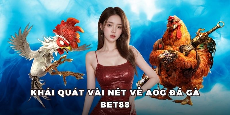 Khái quát vài nét về AOG đá gà BET88