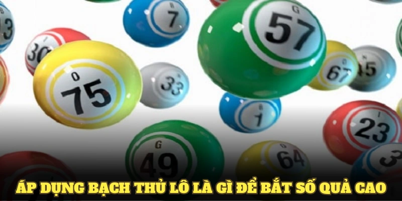 Áp dụng bạch thủ lô là gì để bắt số quả cao