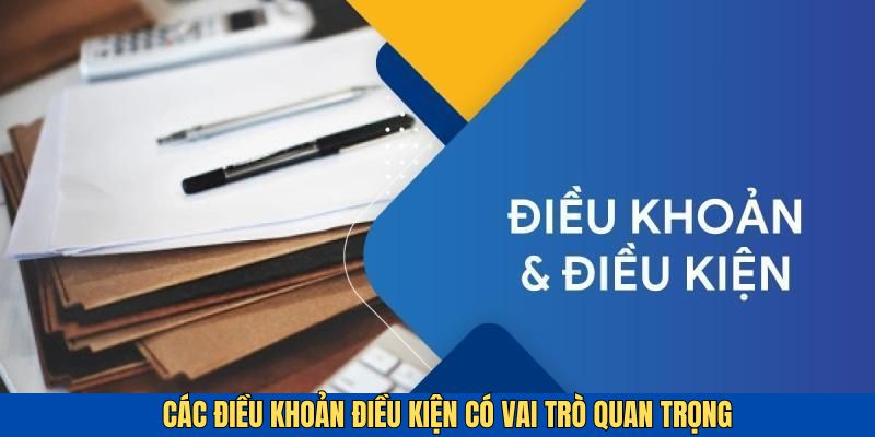 Các điều khoản điều kiện có vai trò rất quan trọng