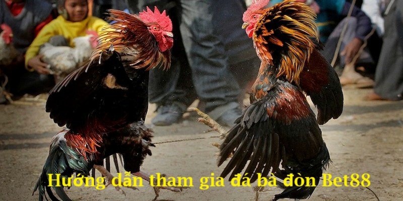 Các thao tác tham giá cá cược bet88 nhanh chóng 