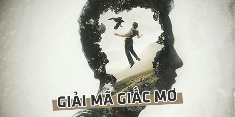Giải mã giấc mơ thường gặp nhất trong cuộc sống