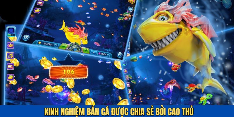 Kinh nghiệm săn bắt cá được cao thủ chia sẻ
