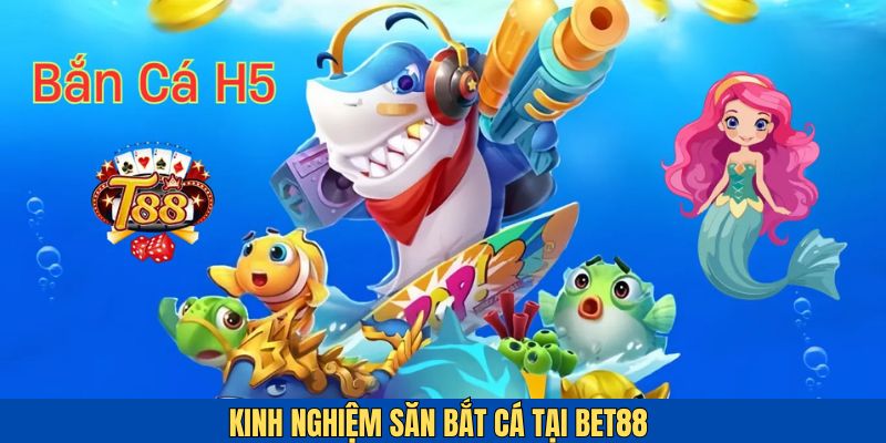 Kinh nghiệm săn bắt cá từ người chơi lâu năm