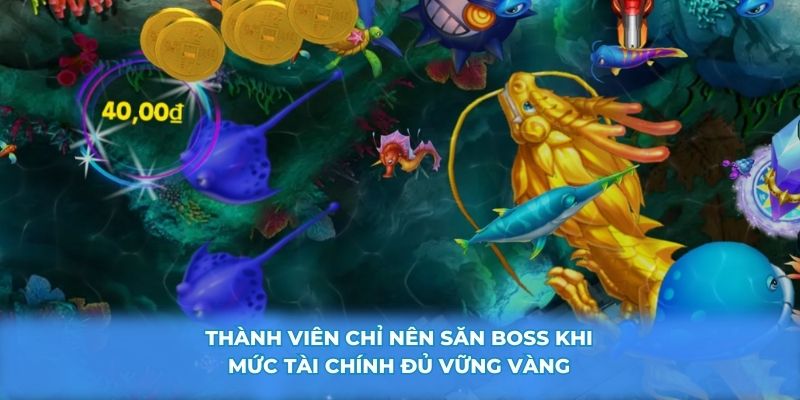 Thành viên chỉ nên săn boss khi mức tài chính đủ vững vàng
