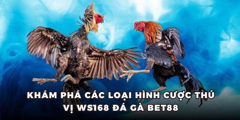 Khám phá các loại hình cược thú vị WS168 đá gà BET88