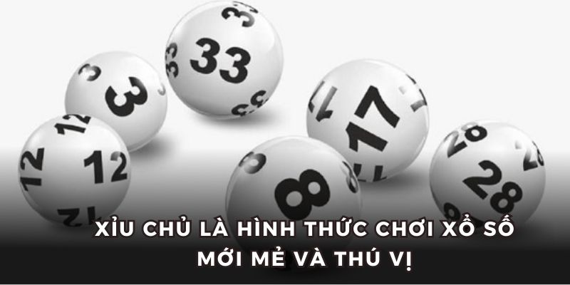 Xỉu Chủ Là Gì - Hình Thức Dự Đoán XSKT Chuẩn 2025